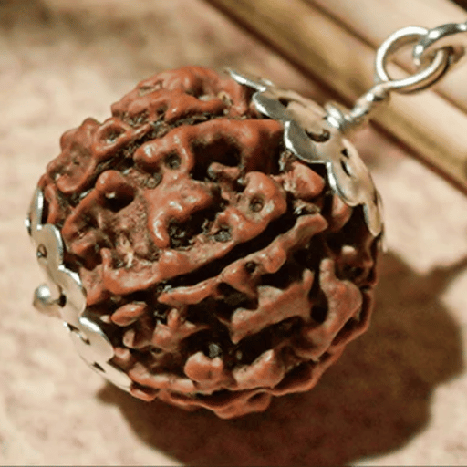 Rudraksha 