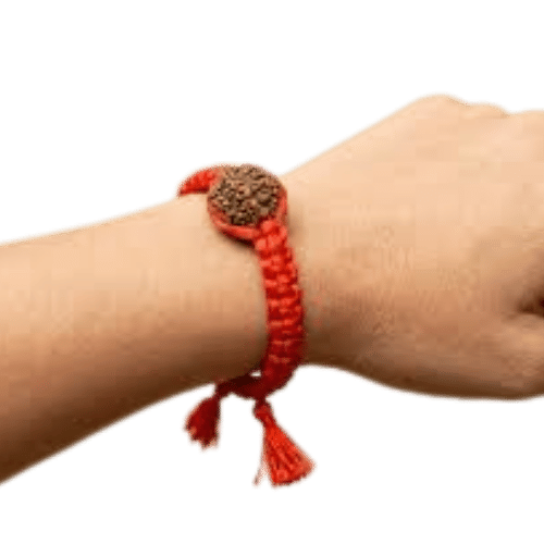 1 Mukhi Rudraksha Bracelet