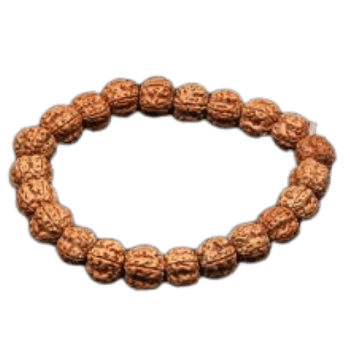 3 Mukhi Rudraksha  Bracelet