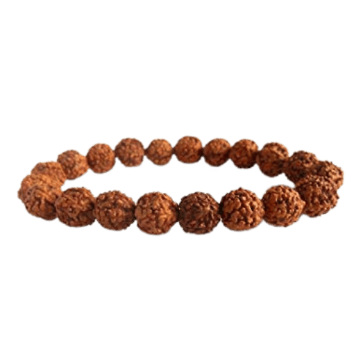 4 Mukhi Rudraksha Bracelet